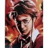 Számfestő kerettel - Harry Potter